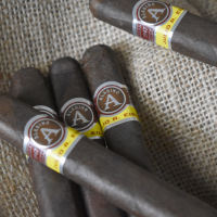 Aladino Maduro Robusto Box Pressed Cigar - 1 Single